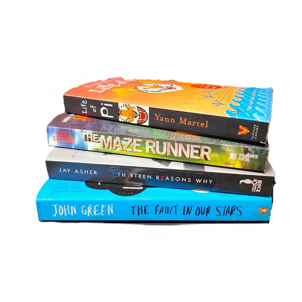 Bundle of 4 Young Adult paperback novels